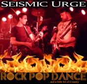 seismic urge, michael nowak, rock band, live music